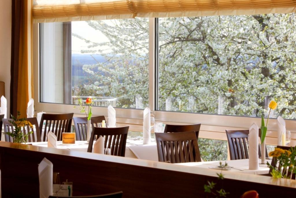 Parkhotel Donauworth Bagian luar foto